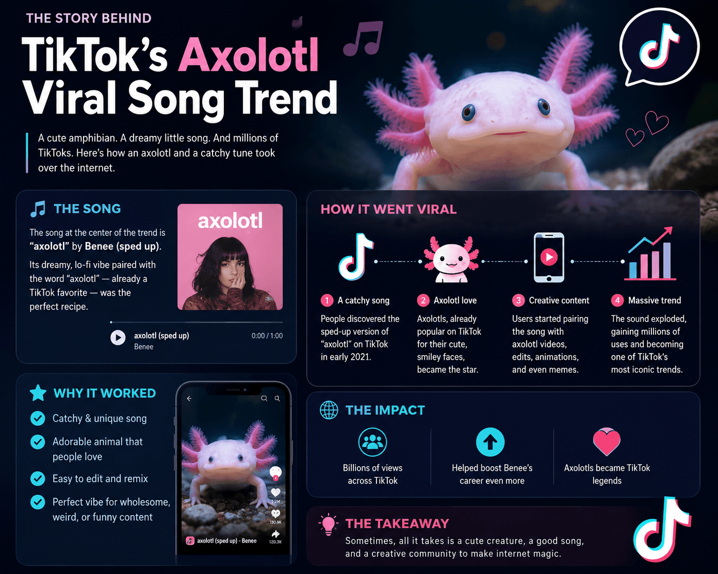 Infographic explaining TikTok’s Axolotl Viral Song Trend, featuring a pink axolotl, TikTok logos, the song “axolotl (sped up)” by BENEE, and details about how the trend became popular.